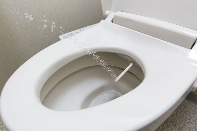 Toilet and Bidet Installations